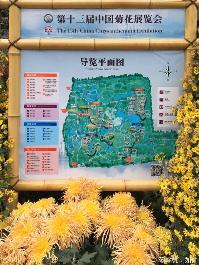 荷花有几种颜色，莲花有几种颜色分别是象征什么（1盆菊花售价1.2万）