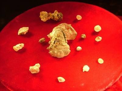 舍利子是什么东西?为何只有高僧体内会有舍利子?