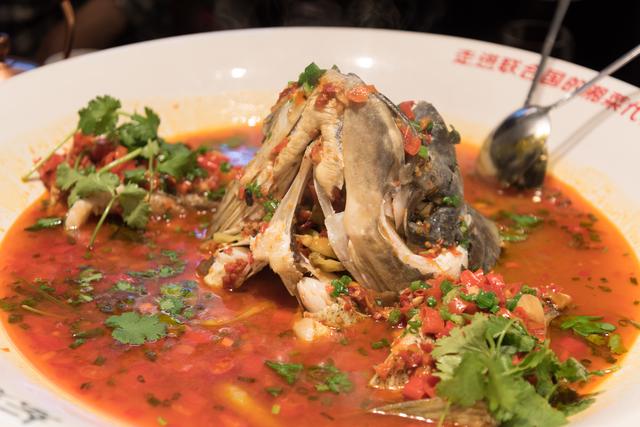 剁椒鱼头是哪里的菜系，剁椒鱼头是哪里的菜（就连沈梦辰也安利的剁椒鱼头）