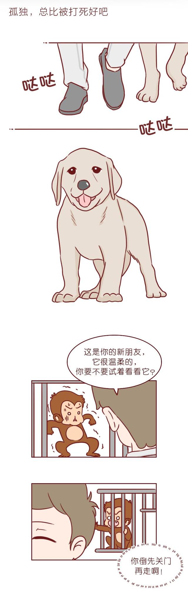 温馨的小故事，温馨的小故事哄男朋友（4个生活中暖心的故事）