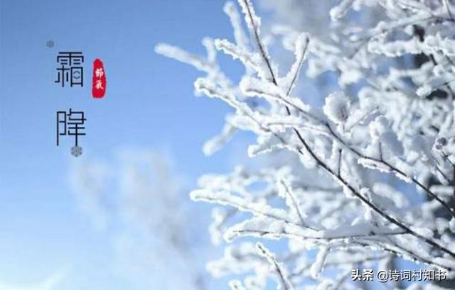 描写霜降的诗词 古诗词十五首，描写霜降的诗词（有关霜降古诗词9首）