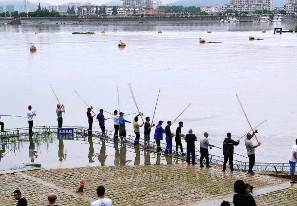 翘嘴鱼多少钱一斤， 翘嘴鱼叫什么名字（翘嘴鱼群聚集巢湖口）