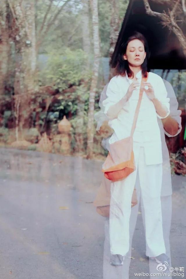 牛莉演的电视剧大全，牛莉演的电视剧有哪些（被称为“国民媳妇”的牛莉）