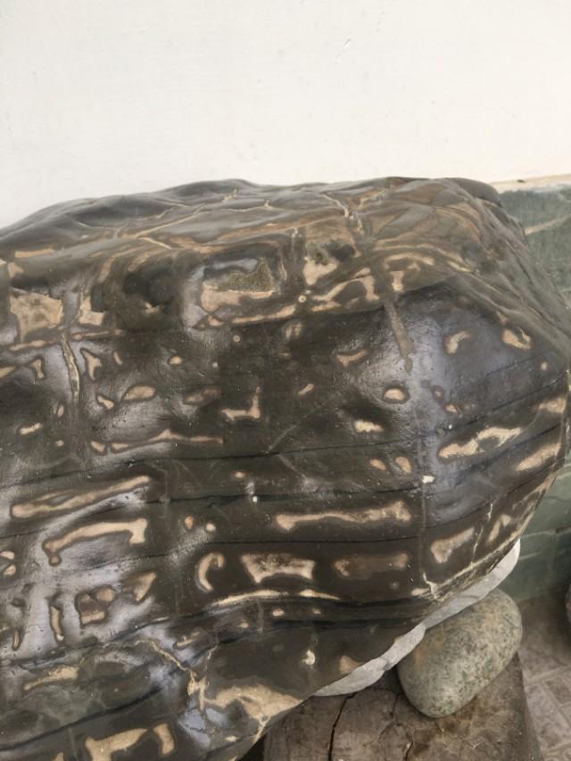 足加石念什么字，足加个石念什么字（谁能解读它周身分布的文字符号。）