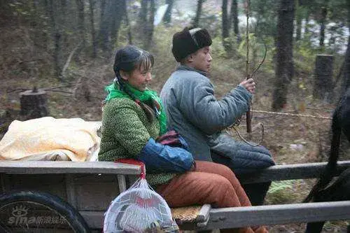 文章和驴的电影，走着瞧电影（文章与两头驴斗智斗勇被驴泼粪）