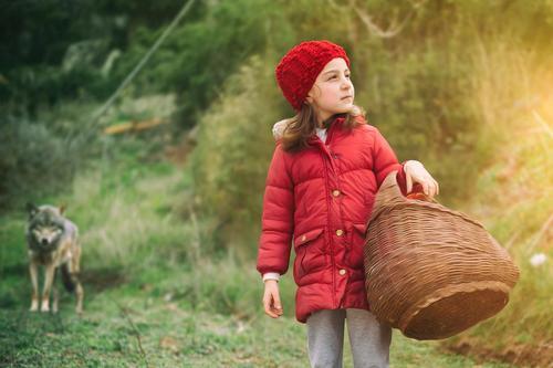 残狼灰满好词好句，残狼灰满好词好句第三课（是人类与大自然的心电感应）