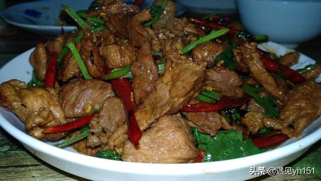 香菜炒肉做法窍门，香菜炒肉的做法 最正宗的做法（香菜炒肉对于喜欢吃香菜的来说就是美味）