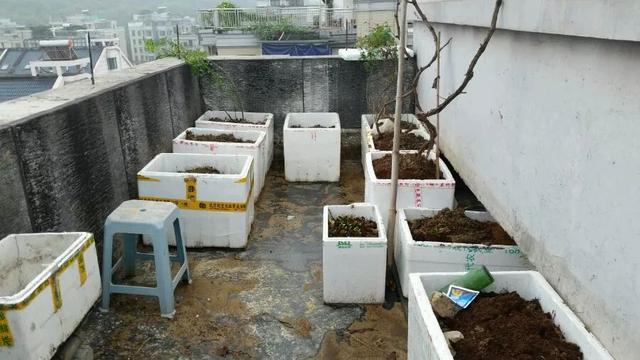 冬天吃什么菜好，冬天吃什么菜最好（下雪天冻不死）