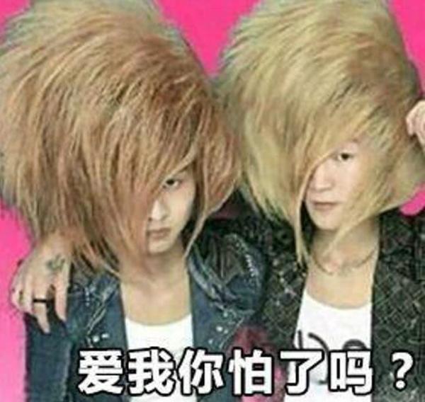 fzl什么意思，女生发fzl是什么意思（“非主流”时代流行的网名）