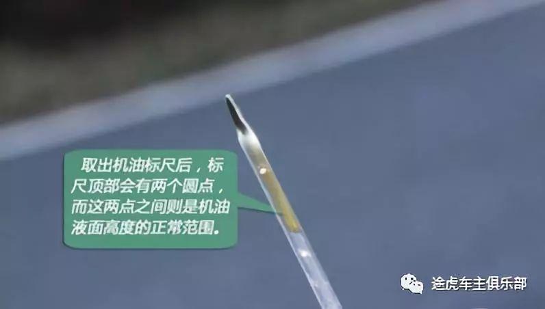 烧机油是什么意思（预防烧机油的方法）