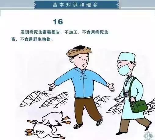 健康素养66条你掌握了吗，必看健康素养66条漫画版
