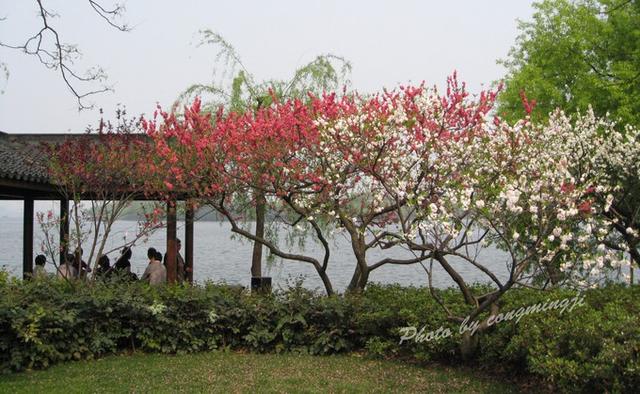 杭州一日游攻略，杭州西湖一日游有什么攻略（内含杭州三日逛吃攻略）