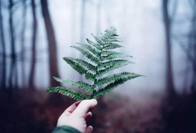 世态炎凉是什么意思，人心不古世态炎凉是什么意思（杜甫很戳心的一首诗）