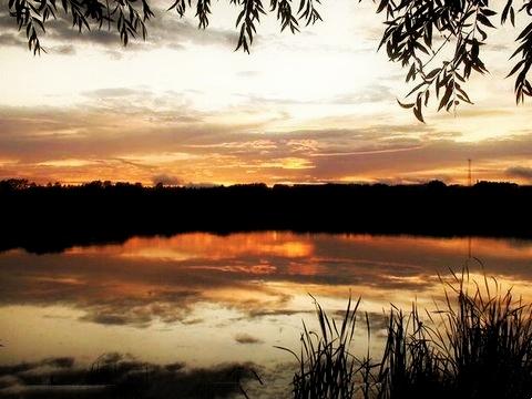 黑龙江一垧地是多少亩，黑龙江一垧地是多少亩（农民亩产年纯收入却仅666元）