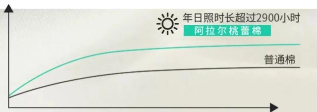 拾柒印制一本书多少钱,拾柒印制一本书多少钱一页(中国百年老厂九年磨一剑) 拾柒印制一本书多少钱,拾柒印制一本书多少钱一页(中国百年老厂九年磨一剑)