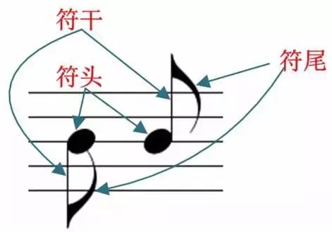 五线谱上画的是什么，五线谱上画的是什么（零基础学习五线谱基础知识）