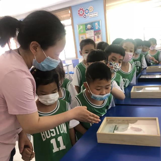 石家庄外国语幼儿园，石家庄幼儿师范高等专科学校宿舍条件怎么样宿舍图片内景（“我太想上小学啦~！”）