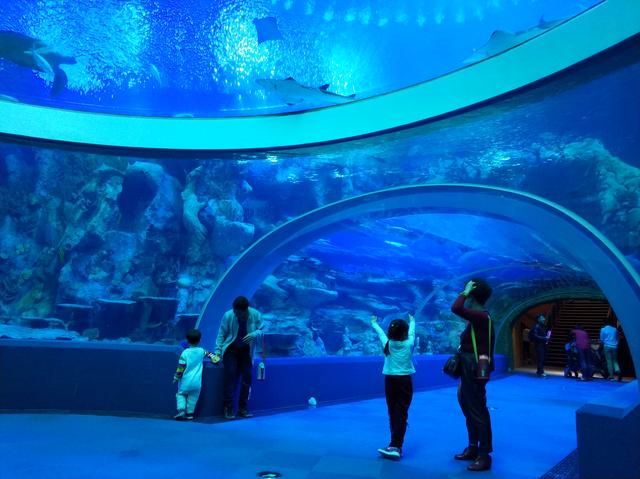 珠海长隆攻略，珠海旅游攻略（广州夫妻2天自驾珠海长隆）