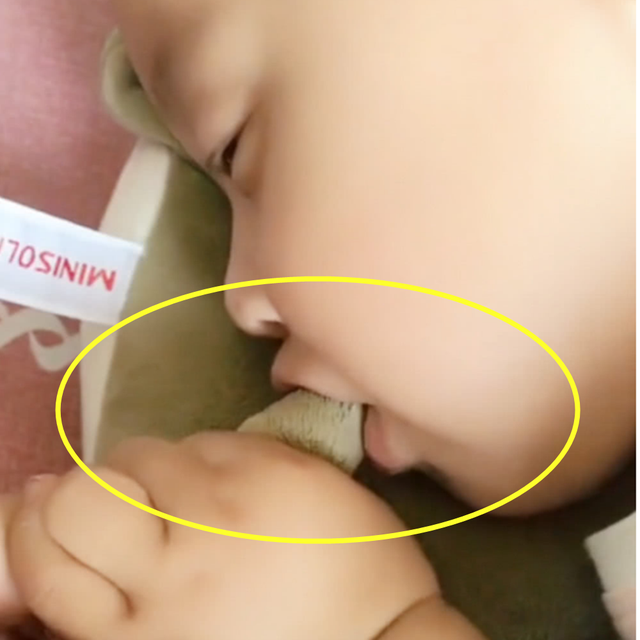 饥饿萌，饥饿 手机版（网友：今天这味儿不对吧图片）