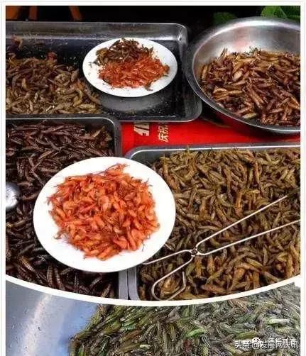 云南普者黑旅游攻略，云南省普者黑风景区旅游攻略（一处鲜为人知的神秘旅游景点——普者黑攻略）