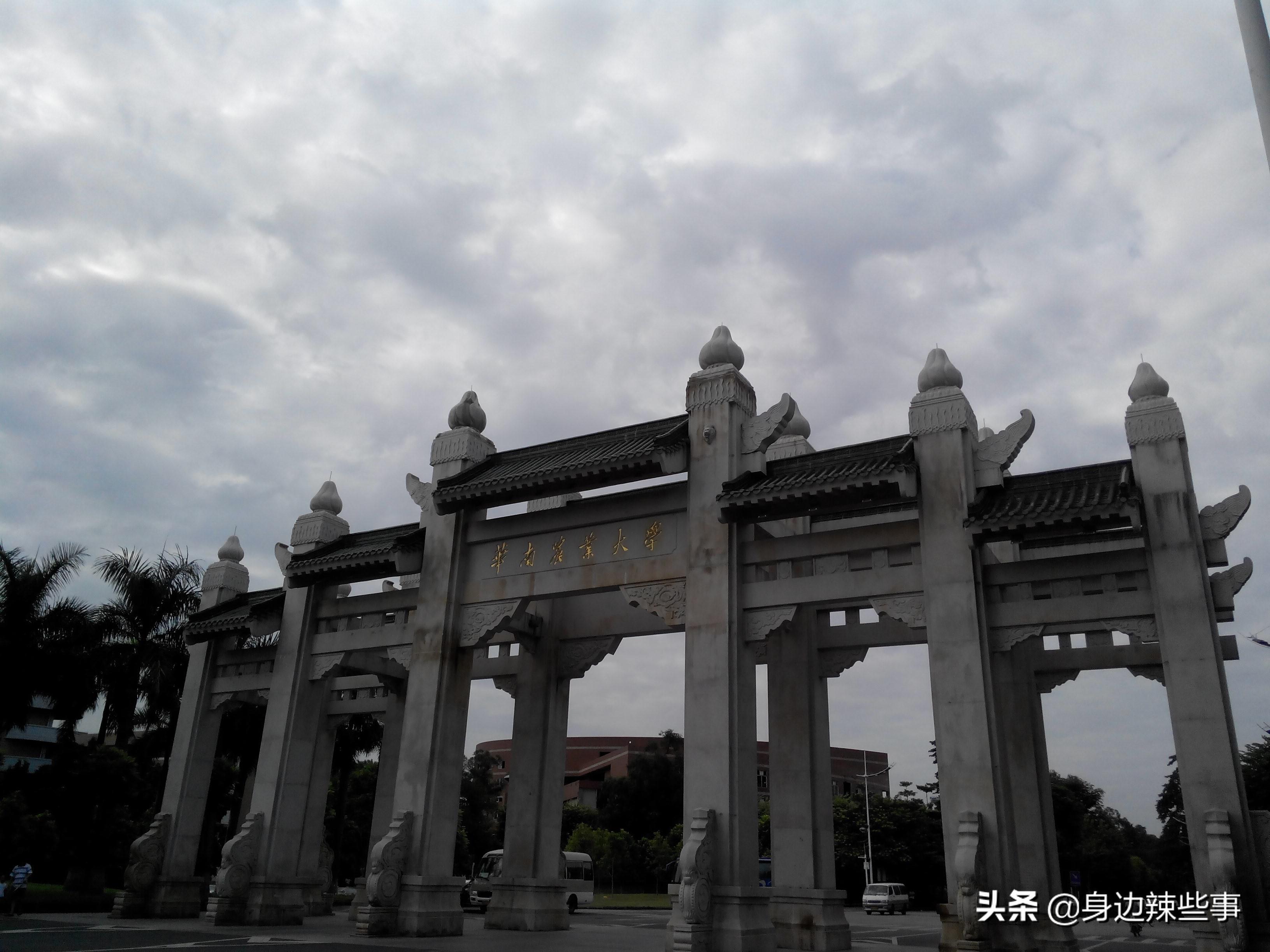 华南农业大学官网(农业硕士不如不考)
