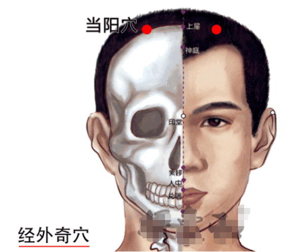 鱼腰的准确位置和作用，个个都是穴位学中的高手