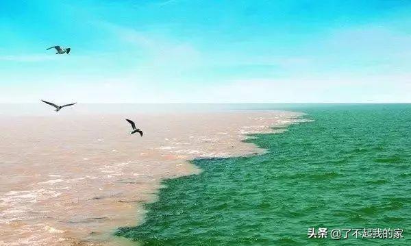 黄河入海口在哪里，黄河入海口在哪里是什么海（我国几条主要河流入海口）