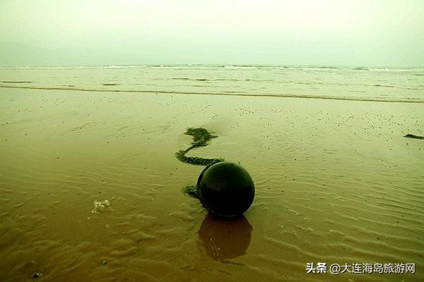 大连西中岛怎么样，西中岛旅游攻略（2019年五一小长假）