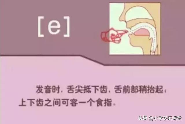 音标读音表发音教学，音素表怎么写（48个国际英语音标发音表及口型）