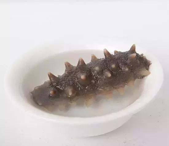 海参的筋能吃吗，分分钟了解海参的真相