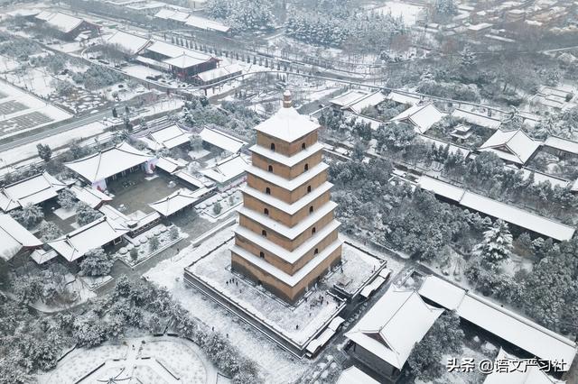 飞花令雪的诗句，飞花令里的诗句100首（古诗飞花令“雪”，你知道多少）