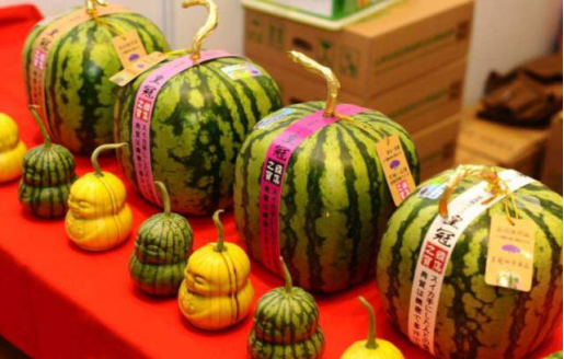 日本西瓜为什么贵，日本西瓜这么贵为什么不进口（日本西瓜卖得这么贵）