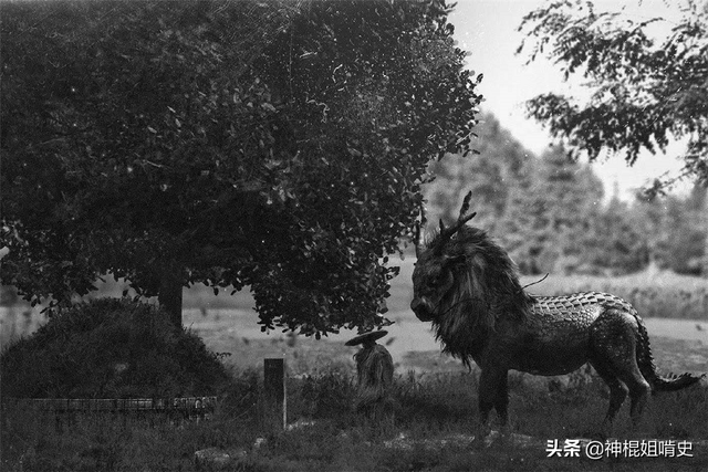 麒麟图片大全大图，麒麟的真实图（验证《山海经》的记载）