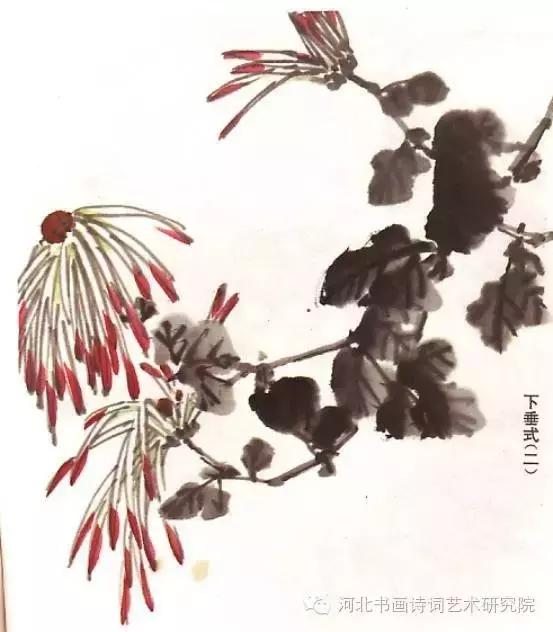 花的画法——菊花的画法，菊花是怎么画（菊花画法大全）