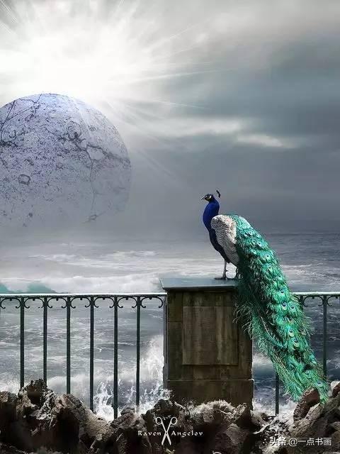 画孔雀的简笔画，如何画孔雀简笔画（国画教程——孔雀画法）