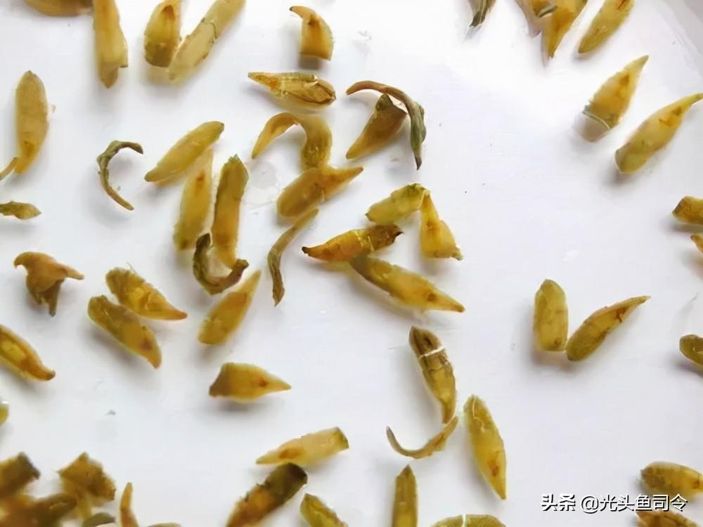 鱼生寄生虫(顺德鱼生寄生虫)