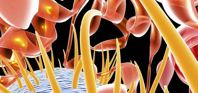 怀孕便秘怎么办快速排便，怀孕便秘怎么办快速排便吃火龙果都没用（准妈妈不妨试试这六招）