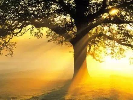 陈鲁豫的语录，陈鲁豫经典语录（陈鲁豫《还是要相信》）