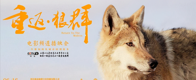 残狼灰满好词好句，残狼灰满好词好句第三课（是人类与大自然的心电感应）