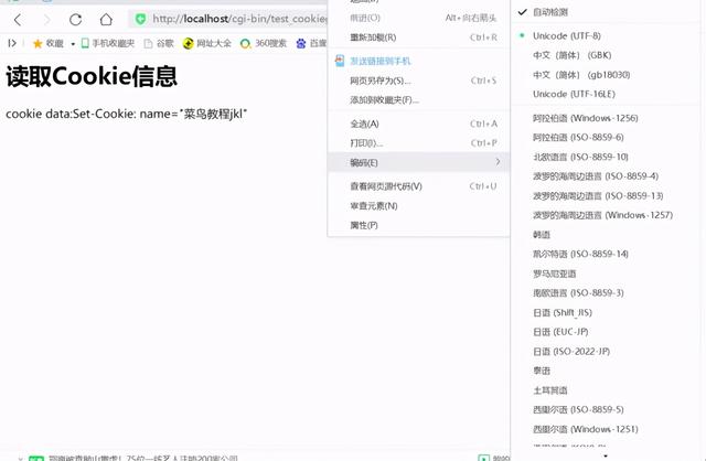 网页乱码怎么解决，打开网页文字乱码怎么办（如何解决网页乱码、调用cookie乱码问题）