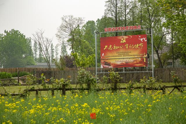 蜀山的具体位置在哪啊，蜀山位于哪里（徜徉在春色染透的田园风光里）