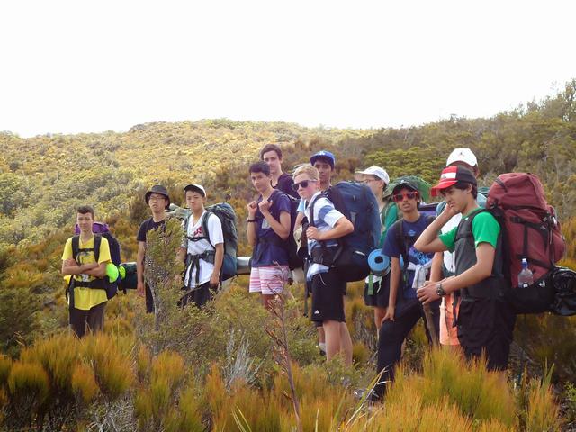 4万纽币是多少人民币，四万纽币合多少人民币（想要在新西兰学习IT专业）