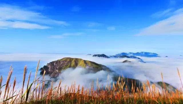 南昌话属于什么方言，南昌的方言是什么（江西最难听懂的方言排名）