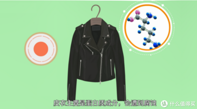 绵羊皮、山羊皮、牛皮等皮衣材质怎样区分，怎样区分皮衣是山羊皮还是绵羊皮（不知道怎么选购皮衣）