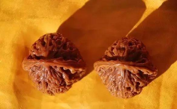 文玩核桃狮子头36万，赌核桃（文玩核桃狮子头大全）