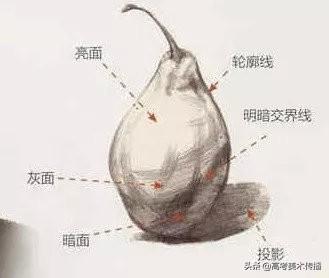 色彩中静物调色怎么调，色彩静物变调（教你理解快速掌握色彩静物）