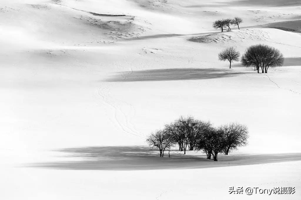 雪景拍摄技巧，雪景如何拍摄（十多种拍摄思路教你拍）