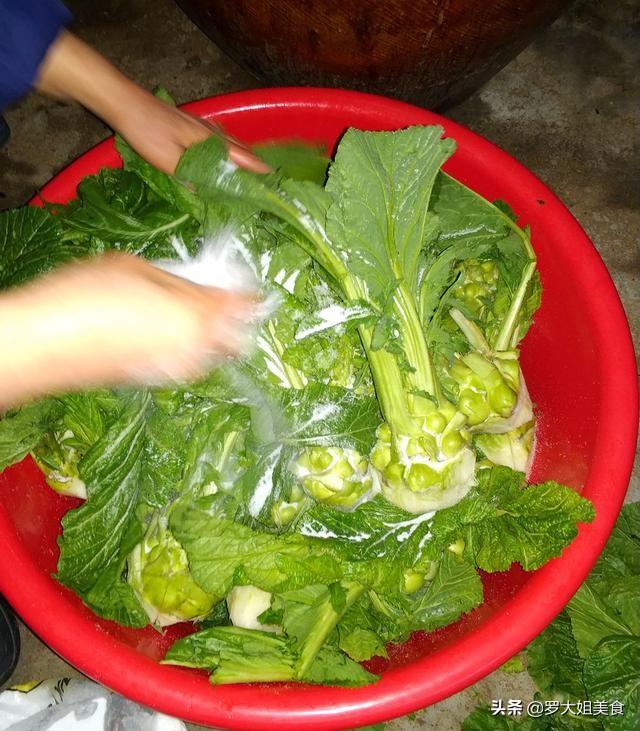 榨菜的腌制方法，重庆涪陵榨菜的腌制方法（那些咸菜就粥的记忆又回来了）
