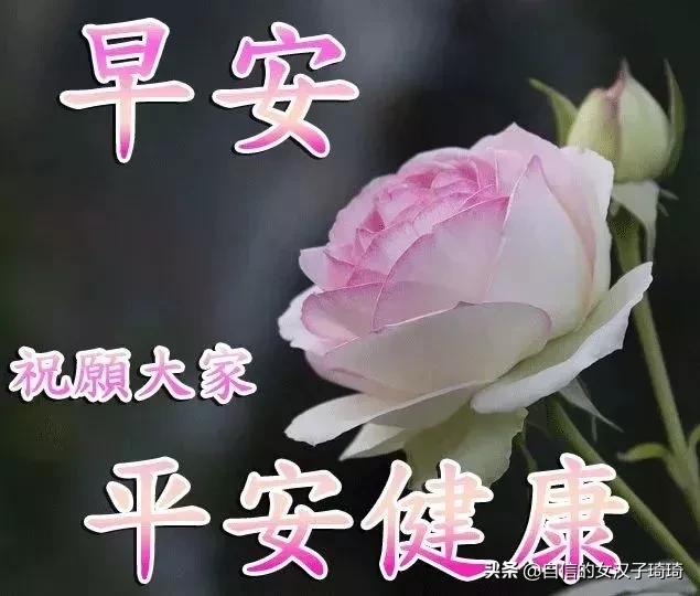 愿岁月静好温暖如初，岁月静好,温柔如初（2019年11月3日）