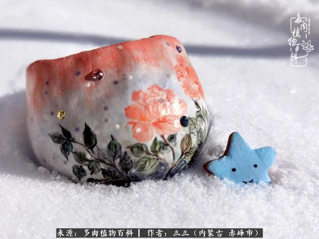 雪候鸟是什么意思，雪候鸟歌词表达什么意思（多肉于我从来不是锦上添花）
